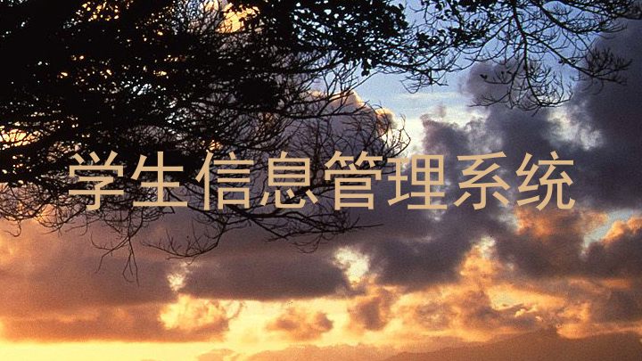 学生信息管理系统