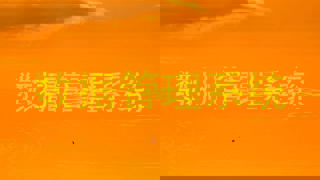 数据管理系统