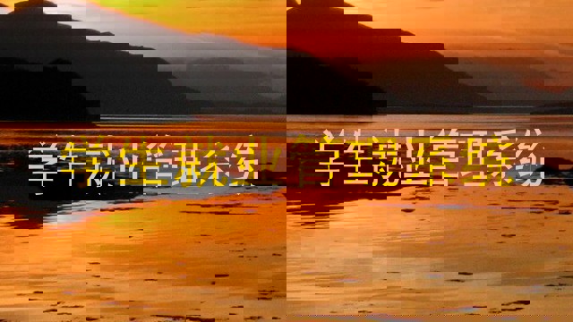 学生就业管理系统