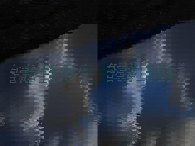 智慧学生管理系统