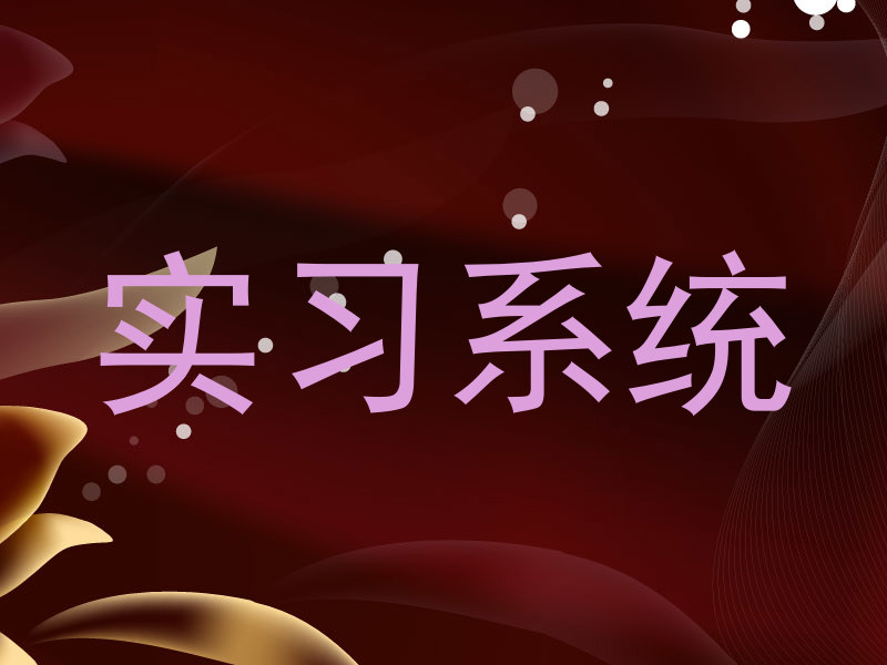 实习系统