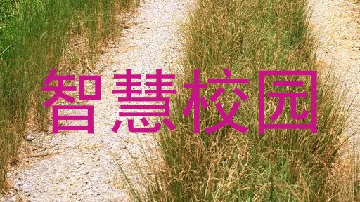 智慧校园