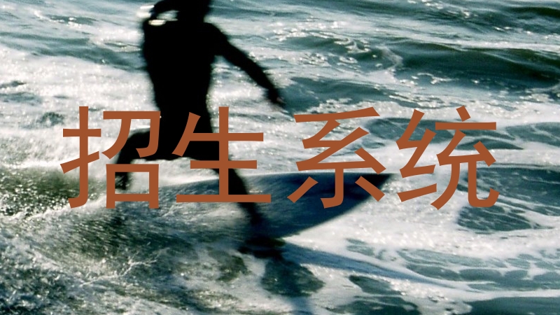 招生系统