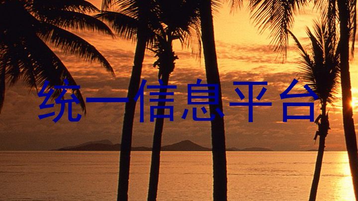 统一信息平台