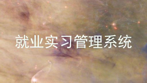 就业实习管理系统