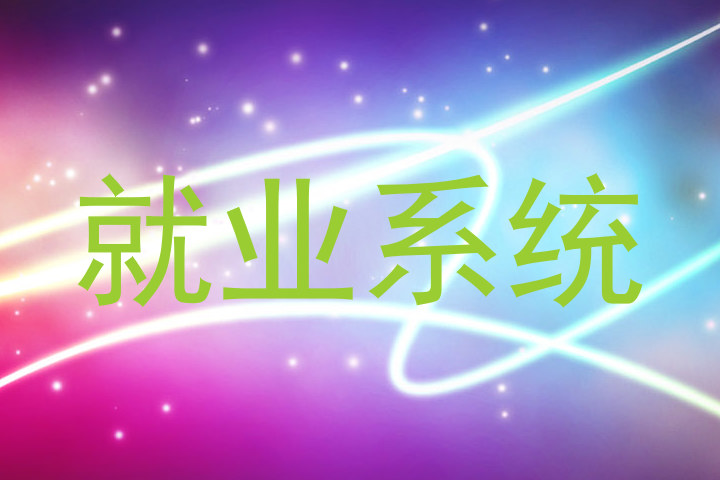就业系统