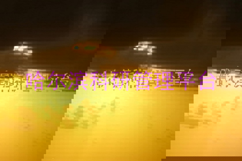 哈尔滨科研管理平台