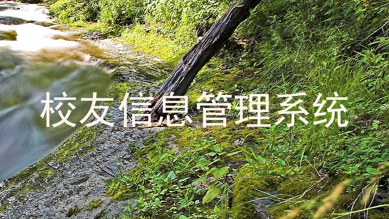 校友信息管理系统