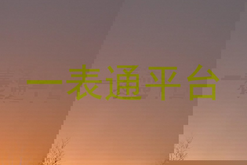 一表通平台