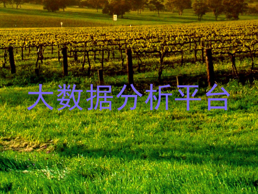 大数据分析平台