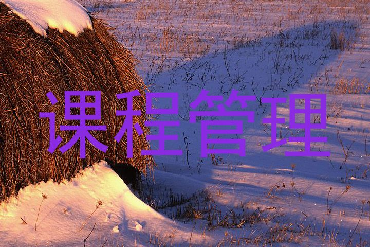 课程管理