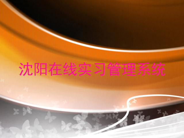 沈阳在线实习管理系统