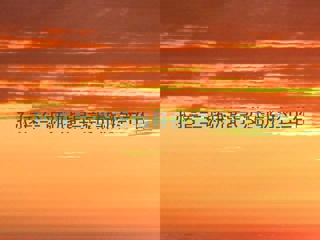 孙春兰调研指导疫情防控工作