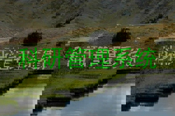 科研管理系统