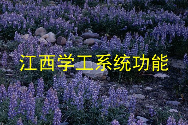 江西学工系统功能
