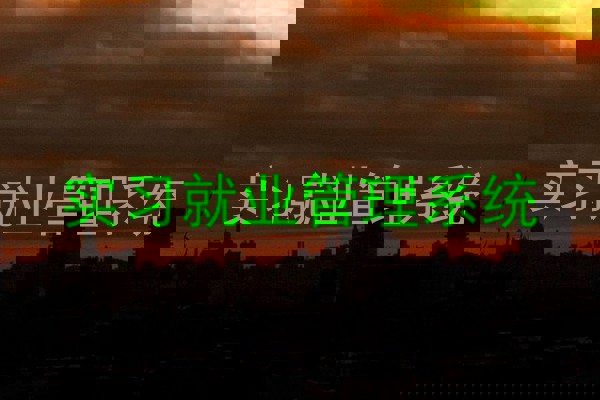 实习就业管理系统