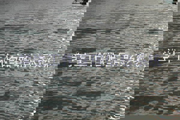 学生工作管理信息系统