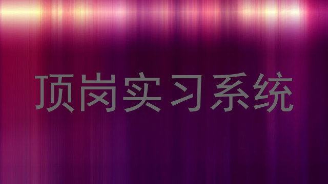 顶岗实习系统