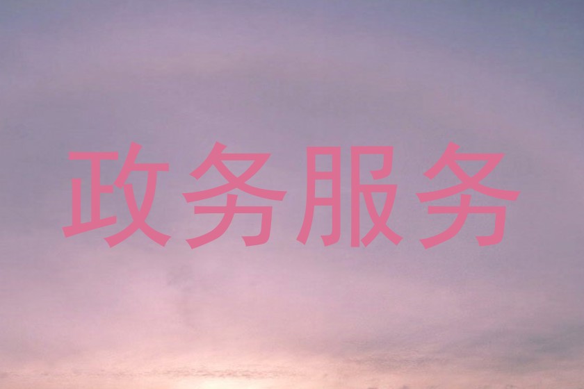 政务服务