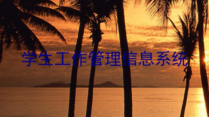 学生工作管理信息系统