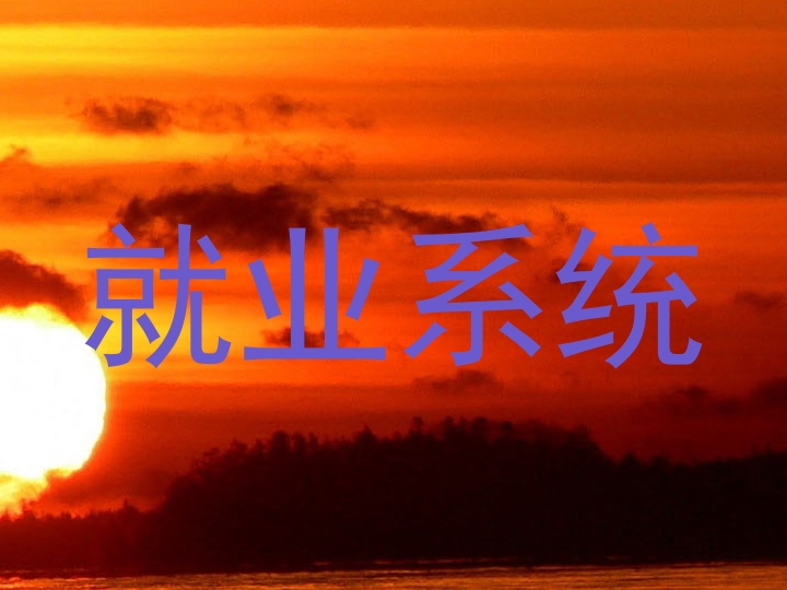 就业系统