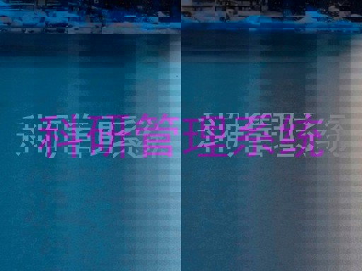 科研管理系统
