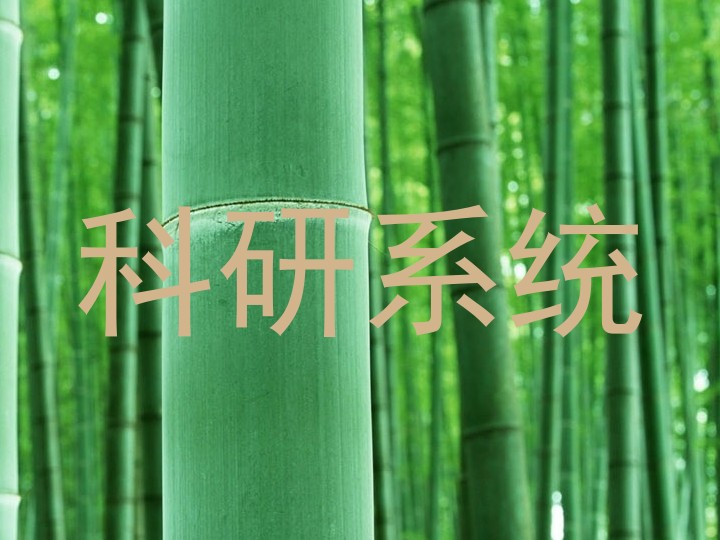 科研系统