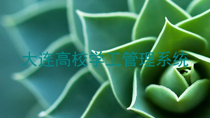 大连高校学工管理系统