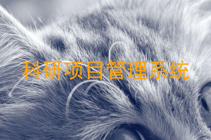 科研项目管理系统