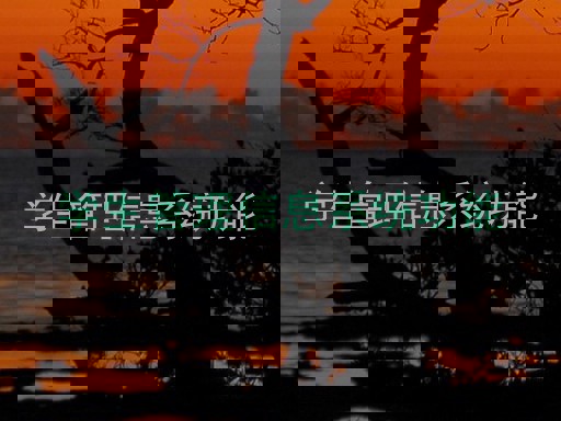 学生管理信息系统功能