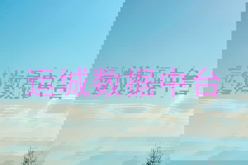 运城数据中台