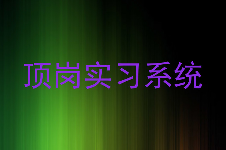 顶岗实习系统