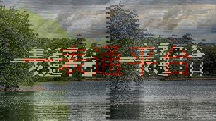 一表通平台