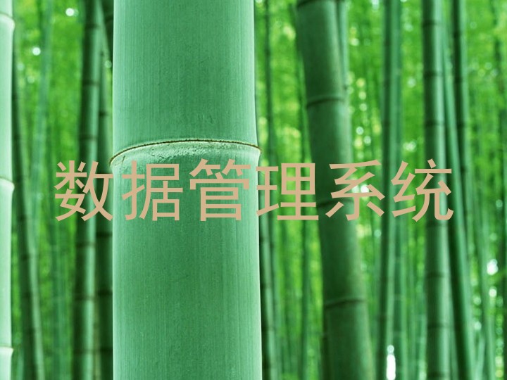 数据管理系统