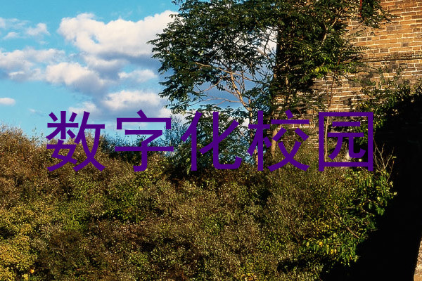 数字化校园