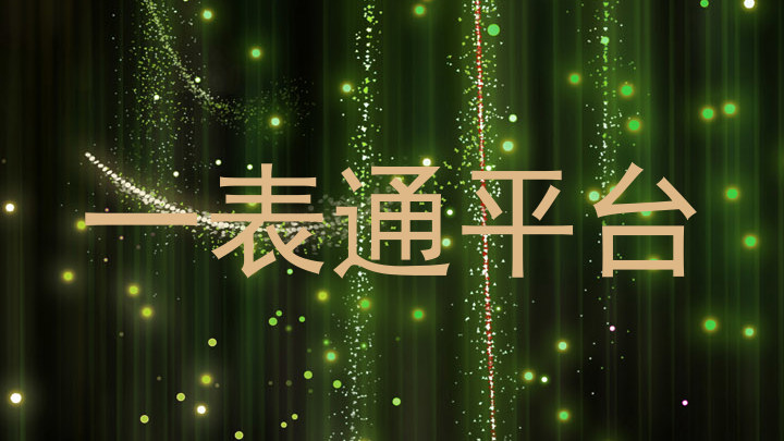 一表通平台
