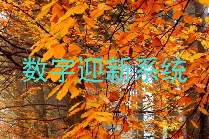 数字迎新系统