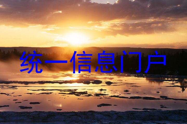 统一信息门户
