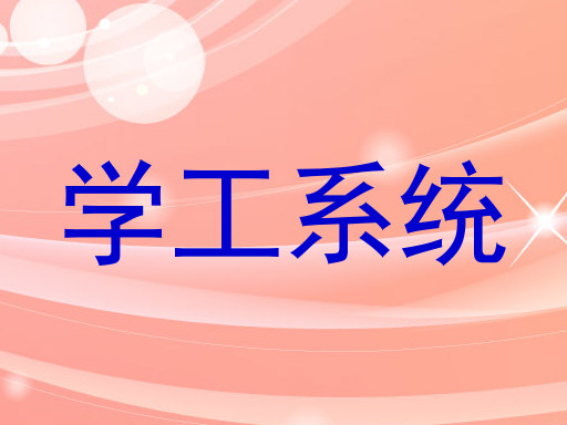 学工系统