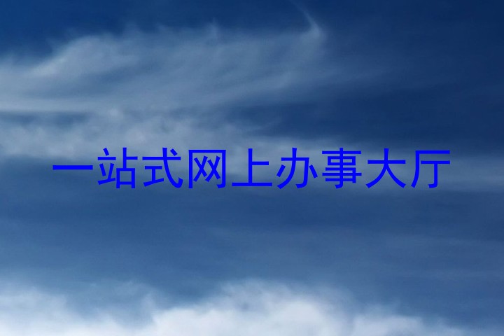 一站式网上办事大厅