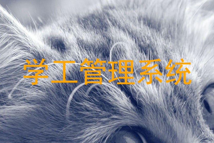 学工管理系统