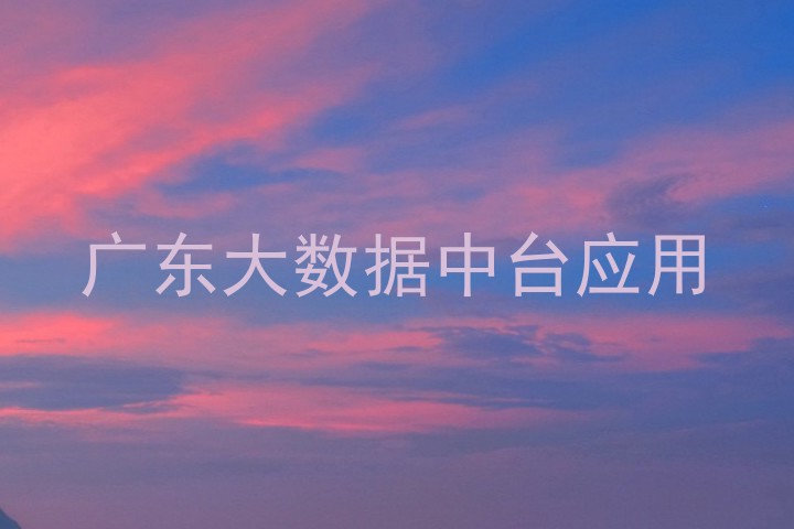 广东大数据中台应用