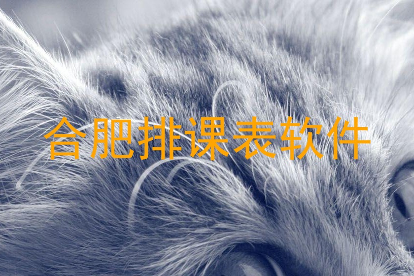 合肥排课表软件