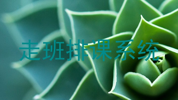 走班排课系统