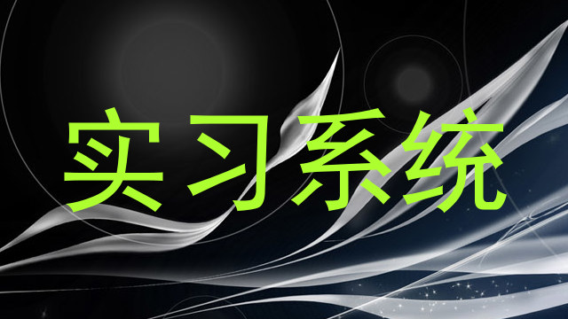 实习系统