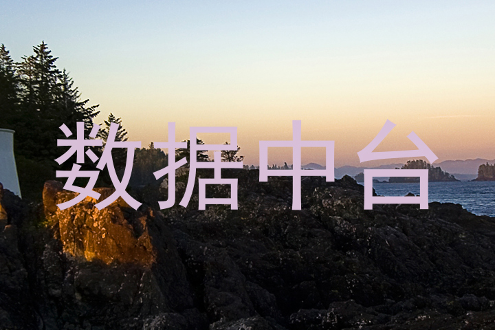 数据中台