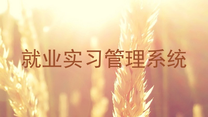 就业实习管理系统