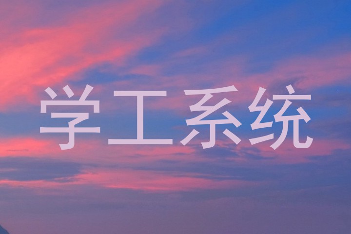 学工系统