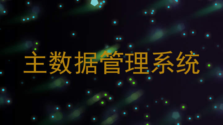 主数据管理系统