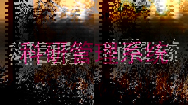 科研管理系统